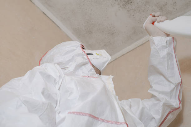 Best Kitchen Mold Remediation in Ramseur, NC